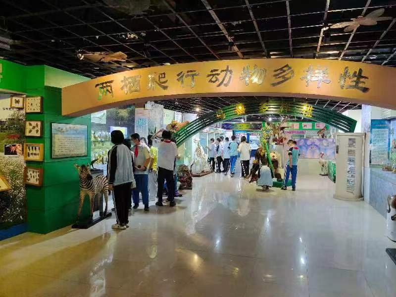 巨乳做爱
组织学生参观海南生物多样性博物馆