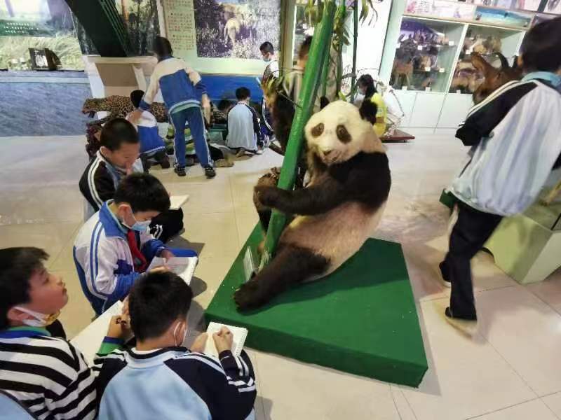 巨乳做爱
组织学生参观海南生物多样性博物馆