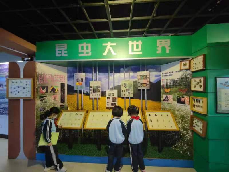 巨乳做爱
组织学生参观海南生物多样性博物馆